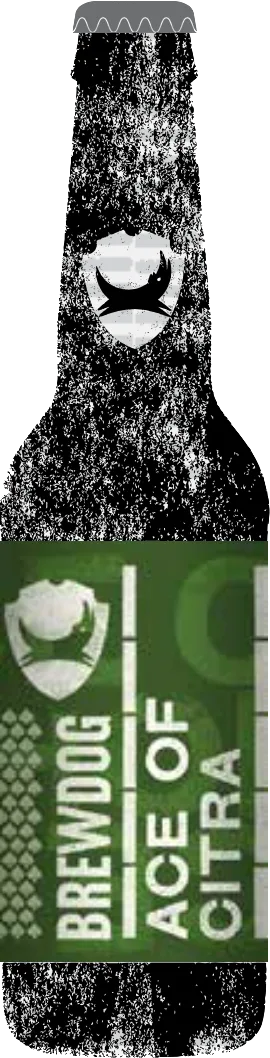 Ace Of Citra